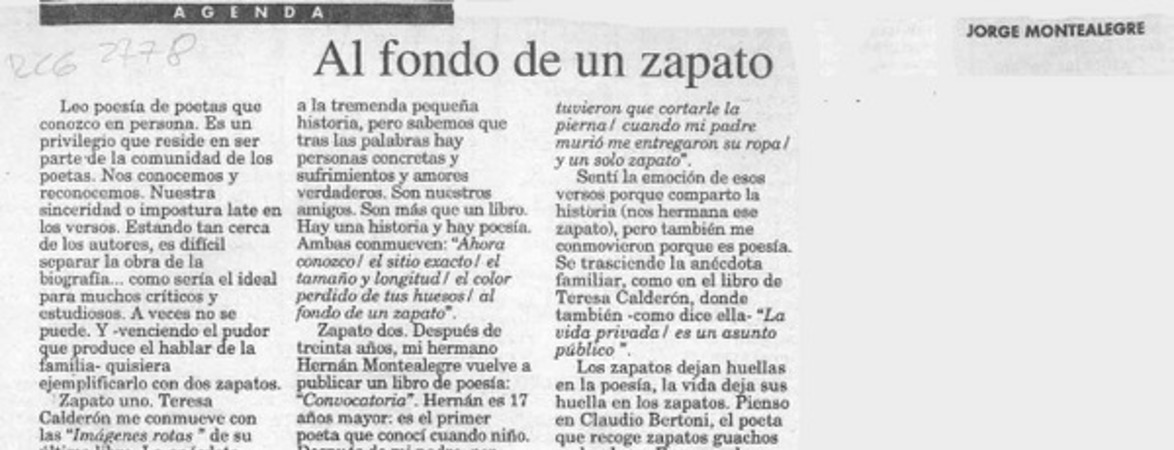 Al fondo de un zapato  [artículo] Jorge Montealegre.