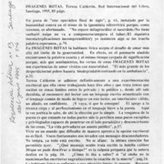 Imágenes rotas  [artículo] María Luz Moraga Espinosa.