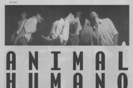Animal humano