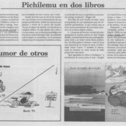 Pichilemu en dos libros
