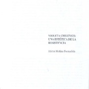 Violeta chilensis