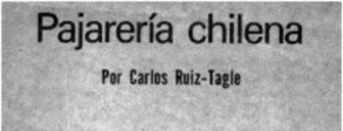 Pajarería chilena