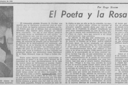 El poeta y la rosa