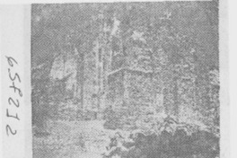 Las Aventuras de Salustio y Trubico.