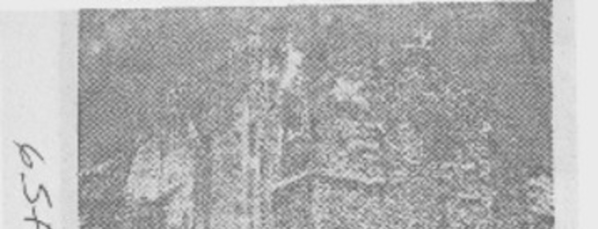 Las Aventuras de Salustio y Trubico.