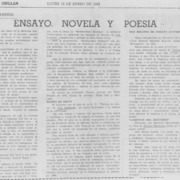 Ensayo, novela y poesía.