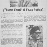 ¿"Poesía visual" o visión poética?