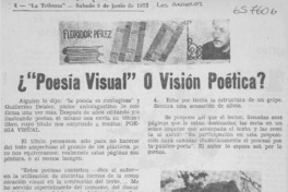 ¿"Poesía visual" o visión poética?