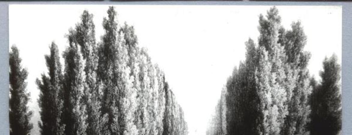 Paseo de La Cañada en Santiago