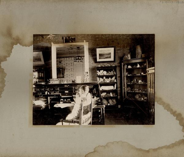 [Hombre sentado frente a su escritorio, de madera noble, divido en gavetas; alrededor de la habitación, cuadros y anaqueles que exhiben minerales]