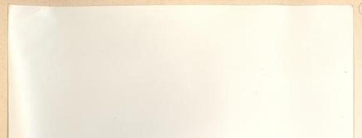 [Agustín Edwards y el general Pershing]