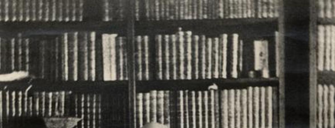 [Andrés Bello sentado leyendo en un escritorio con una biblioteca de fondo]