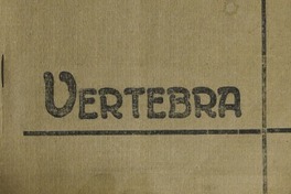 Vertebra