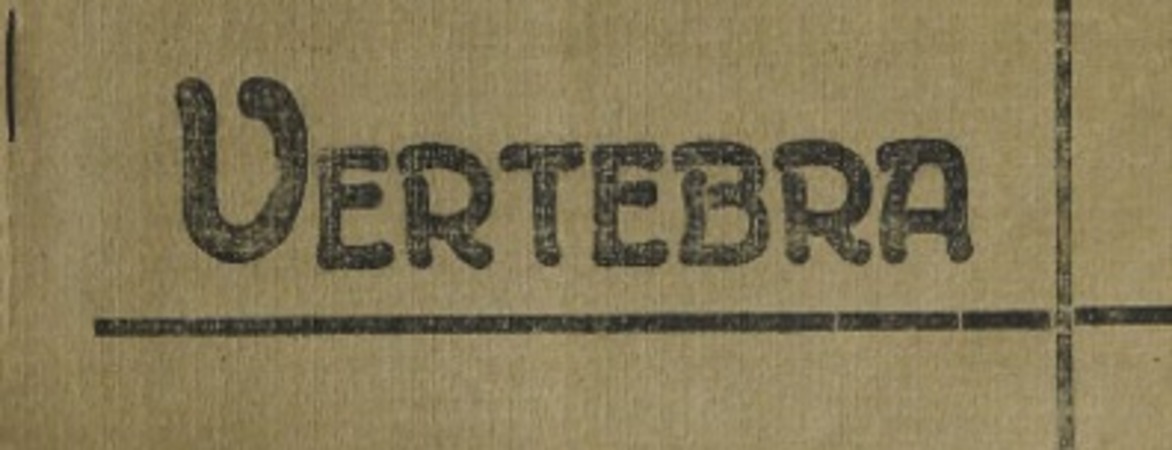 Vertebra