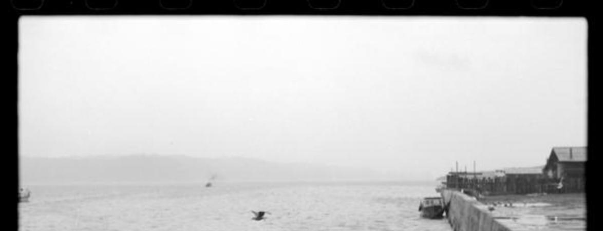 [Mar de la Isla] : Chiloé 1973