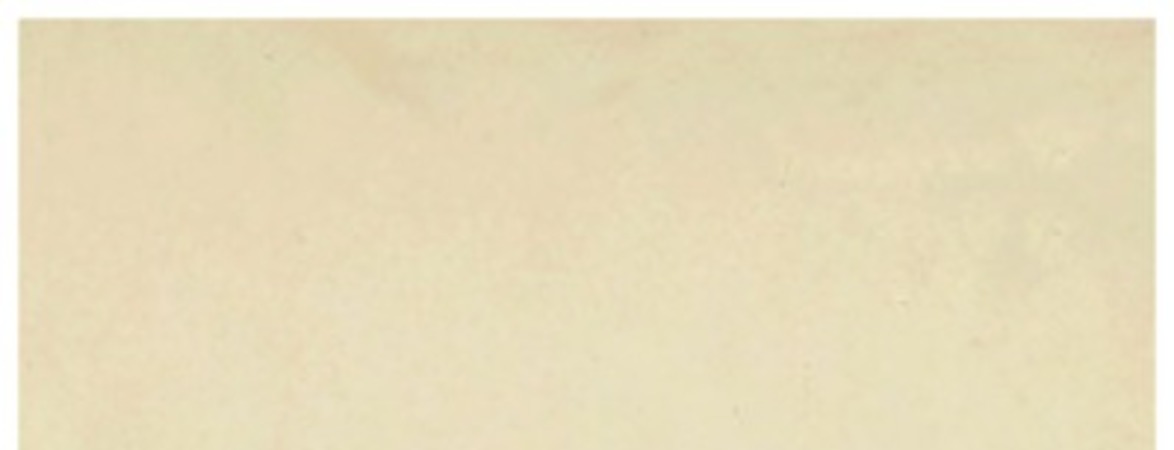 Album del Congreso Nacional en su primer centenario 1818-1918