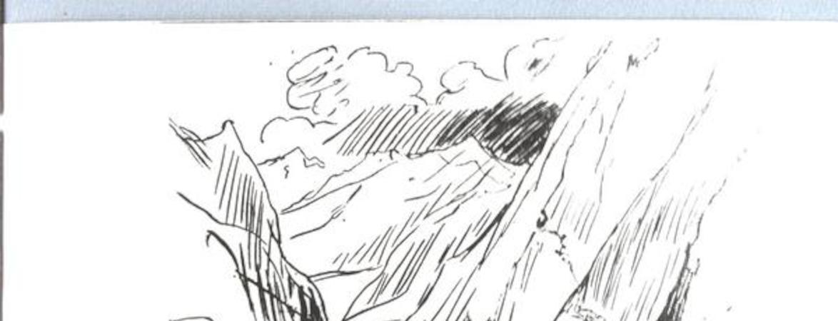 [Cordillera de Los Andes - Paso "Ladera de la jaula"]