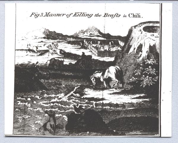 [Forma de matar a las bestias en Chile]