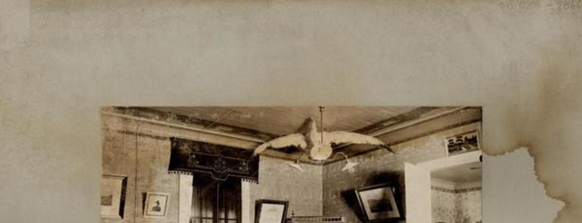 [Hombre sentado frente a su escritorio, de madera noble dividido en gavetas; alrededor de la habitación, cuadros, vitrina, anaquel con frascos de minerales, lámpara de colgar con brazos que sostienen tulipas de cristal; papel tapiz en sus muros]