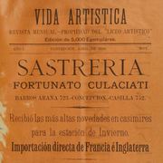 Vida artística