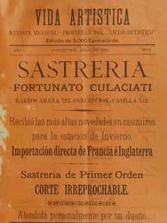 Vida artística