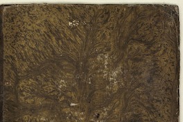 [Opera, cum Mauri Servii Honorate in tria Virgilii opera expositione].