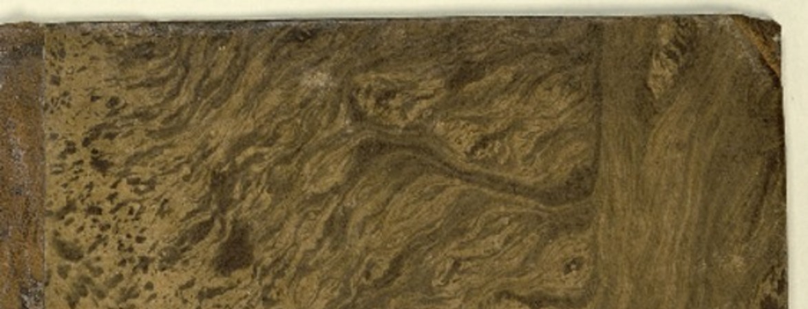 Plurima opuschula sancti Augustim.