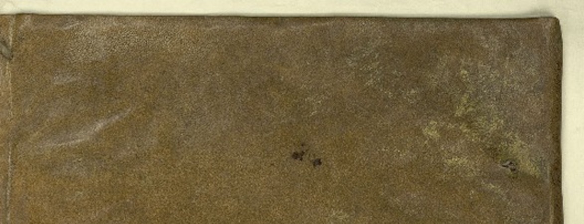 Naturæ historiarum libri XXXVII