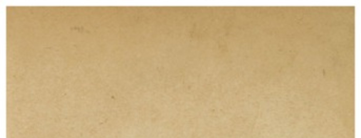 Los títulos de Castilla en las familias de Chile Enrique Torres Saldamando.