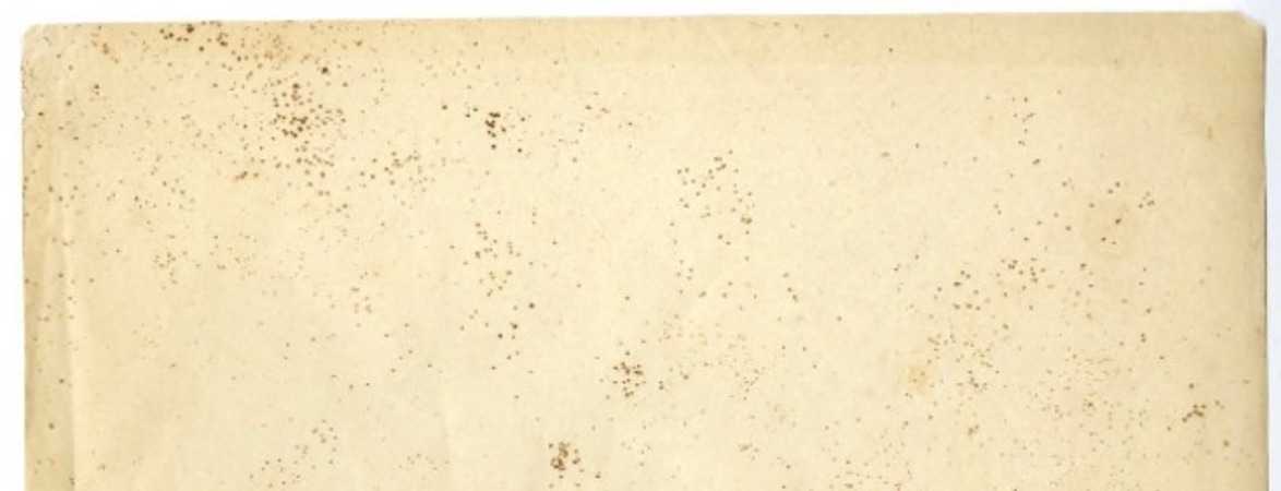 Comarca del jazmín  [manuscrito] Oscar Castro.