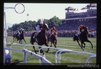 Carrera en el Hipódromo Chile, ca. 1985. Carrera en el Hipódromo Chile, ca. 1985.