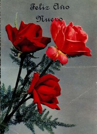 [Tarjeta] 1956 oct. 31, Lima, Perú [a] Gabriela Mistral, Nueva York