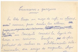 Camareros o garzones Camareros o garzones