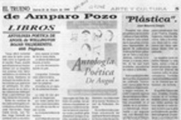 Antología poética de Angol de Wellington Rojas Valdebenito Antología poética de Angol de Wellington Rojas Valdebenito