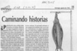 Caminando historias  [artículo] Antonio J. Salgado.