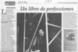 Un libro de perfecciones Un libro de perfecciones