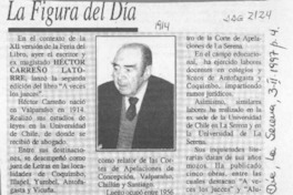 La Figura del día  [artículo].