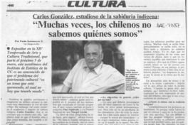 "Muchas veces, los chilenos no sabemos quiénes somos"  [artículo] Paola Sotomayor S.