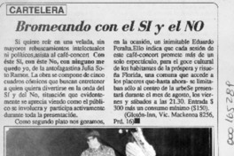 Bromeando con el SI y el NO  [artículo].