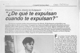 "De qué te expulsan cuando te expulsan?"  [artículo] Claudia Donoso.