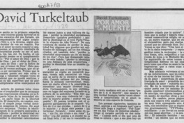 Poesía de David Turkeltaub