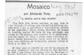 Mosaico  [artículo] Abelardo Troy.
