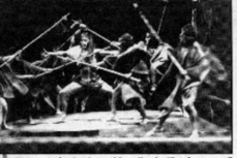"La Araucana" irá a las regiones  [artículo].