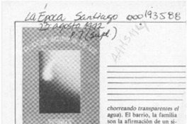 Mirando la luz  [artículo] Carlos Olivárez.