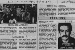 Barrotes de poesía  [artículo].