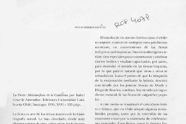 La fiesta, metamorfosis de lo cotidiano  [artículo] Fernando Silva Vargas.