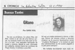 Gitano  [artículo] Sara Vial.