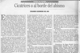 Cicatrices o al borde del abismo  [artículo] Eduardo Guerrero del Río.