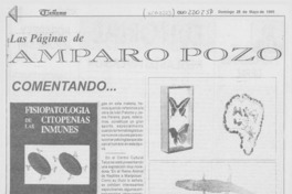 Comentando --