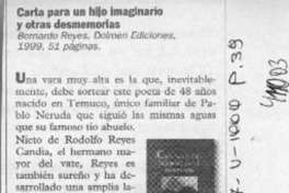 Carta para un hijo imaginario y otras desmemorias  [artículo]